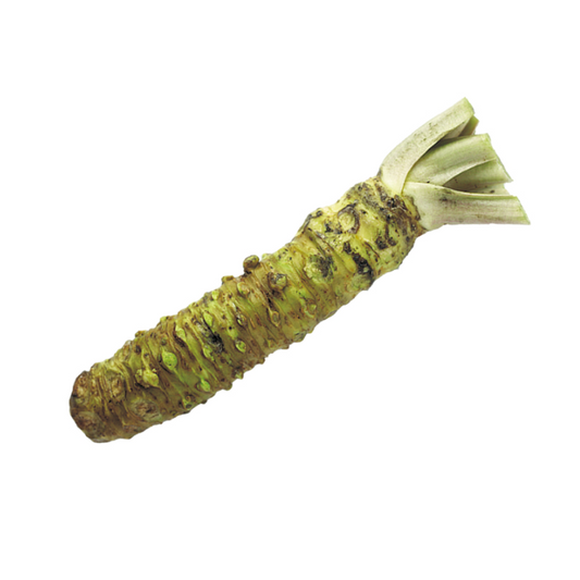 Raíz Wasabi Fresca +/-35g
